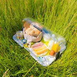 B&B Bos En Weide