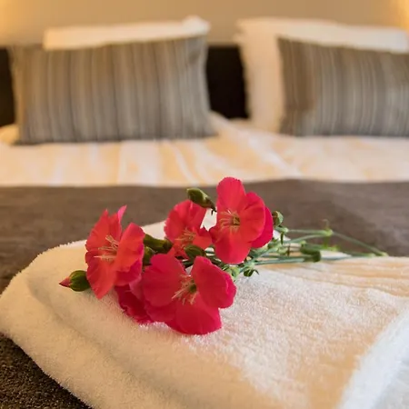 Bed & Breakfast Bos En Weide Отель типа 