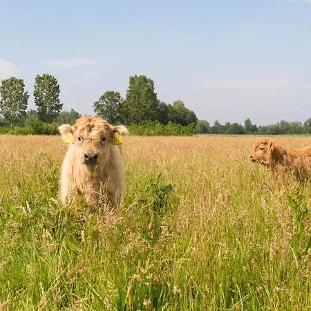 Bed & Breakfast Bos En Weide Бокстел