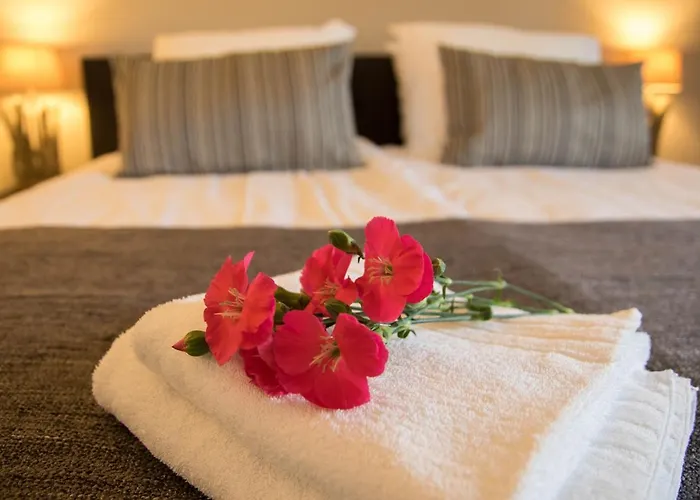 Bos En Weide Bed & Breakfast 3*